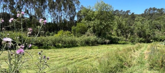 4 Schlafzimmer Haus in Sesimbra, Portugal, Nr. 137755 15