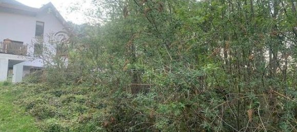 Земельный участок в Ашау им Циллерталь, Австрия № 157223 6