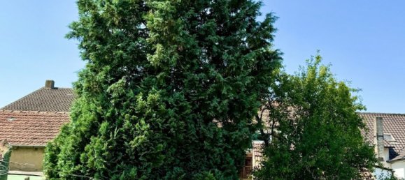 3 chambres Maison à Porcelette, France No. 263554 49