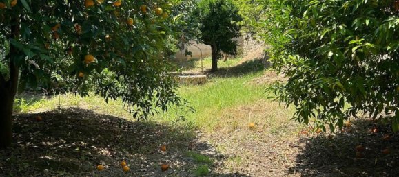 9غرفة منزل في Sant'Ilario dello Ionio, Italy رقم 288215 13