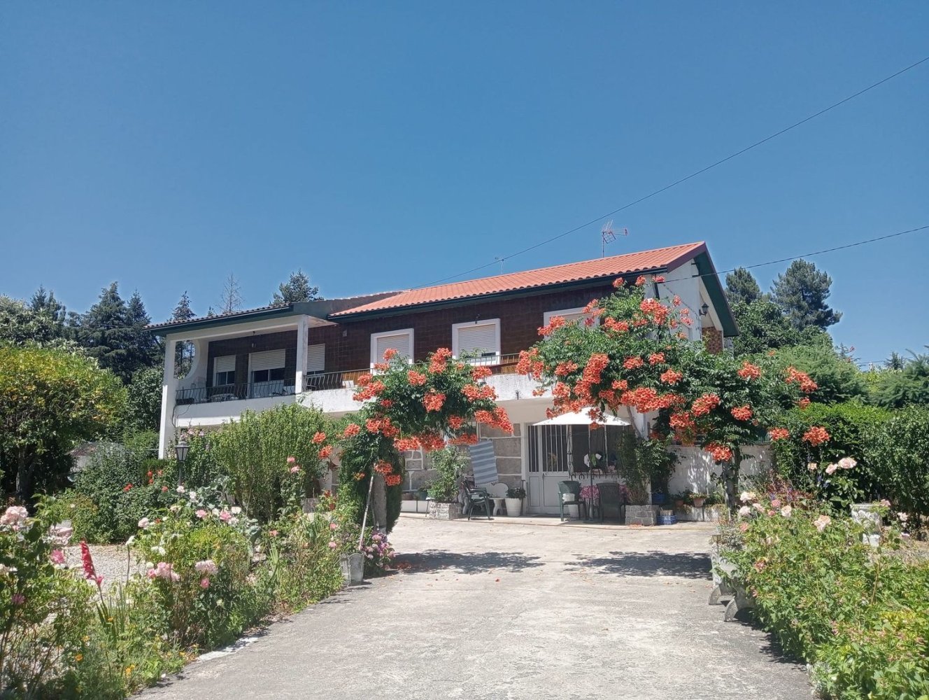 5 Schlafzimmer Haus in Bornes de Aguiar, Portugal, Nr. 352427