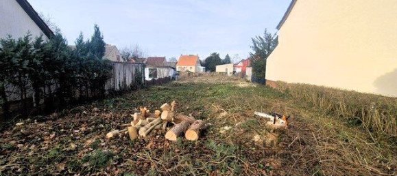  Land in Oder-Spree, Germany No. 110927 5