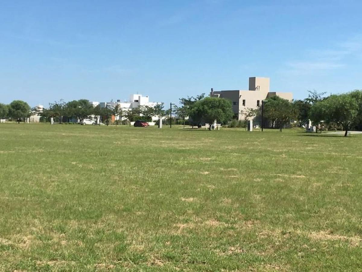  Land in Cordoba, Argentina No. 38665