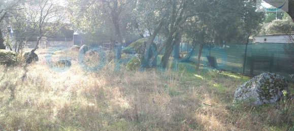 930m² Land in Valdemorillo, Spain No. 84836 12