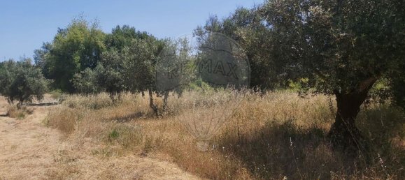 Земельный участок 2000м² в Кашариаш, Португалия № 73951 5