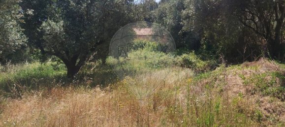 Земельный участок 2000м² в Кашариаш, Португалия № 73951 2