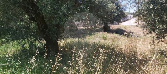 Земельный участок 2000м² в Кашариаш, Португалия № 73951 4