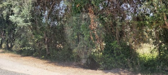 Земельный участок 2000м² в Кашариаш, Португалия № 73951 6