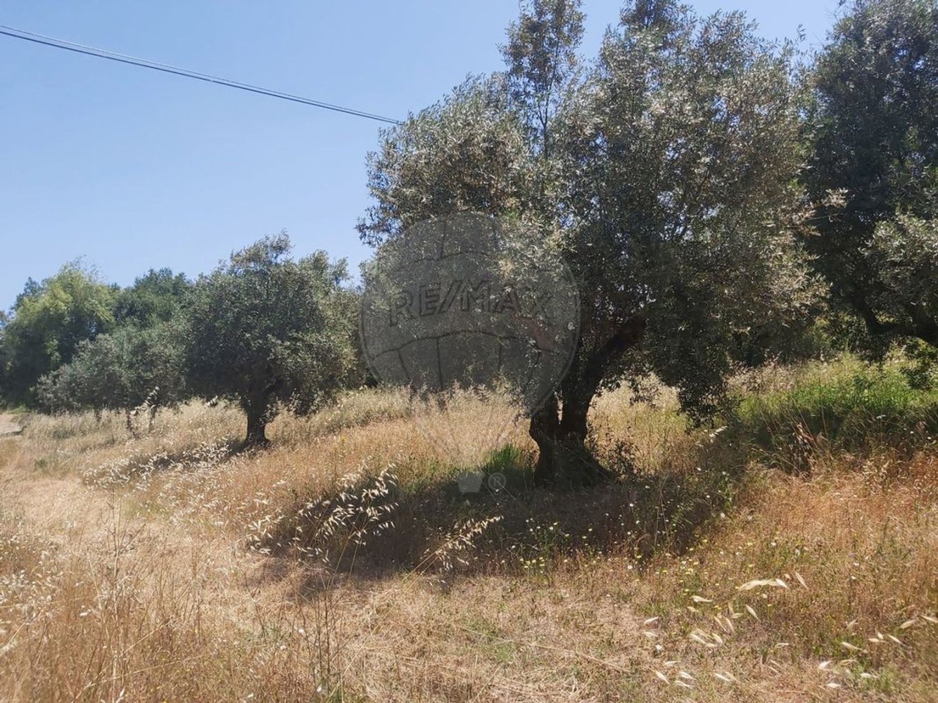 Земельный участок 2000м² в Кашариаш, Португалия № 73951