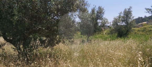 Земельный участок 2000м² в Кашариаш, Португалия № 73951 3