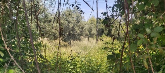 Земельный участок 2000м² в Кашариаш, Португалия № 73951 7