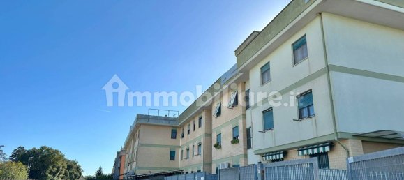 4 bedrooms Apartment in Nettuno, Italy No. 44110 41