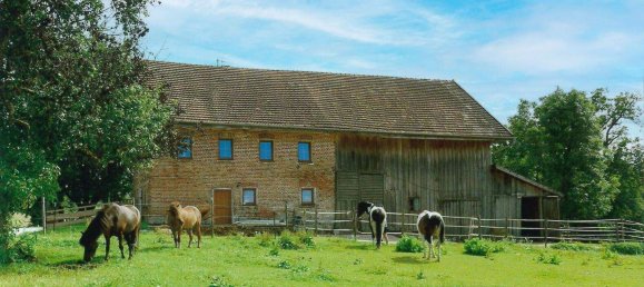 Casa de 6 divisões em Pattigham, Austria N.º 198337 16