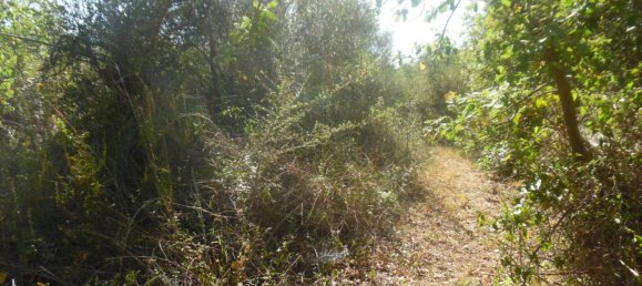 9300m² Land in Solarino, Italy No. 169797 10