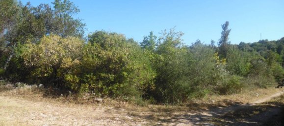 9300m² Land in Solarino, Italy No. 169797 7
