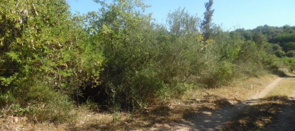 9300m² Land in Solarino, Italy No. 169797 6