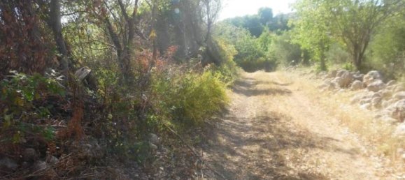 9300m² Land in Solarino, Italy No. 169797 8