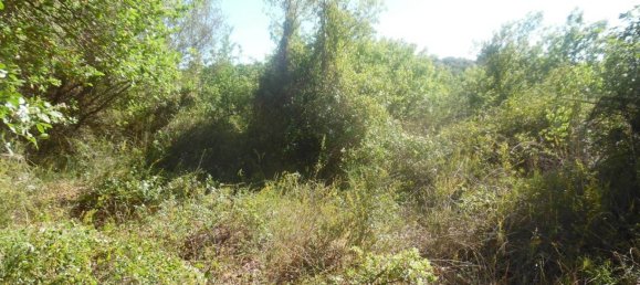 9300m² Land in Solarino, Italy No. 169797 9