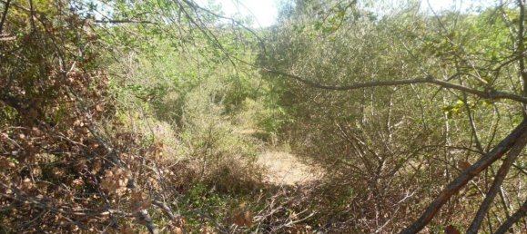 9300m² Land in Solarino, Italy No. 169797 11