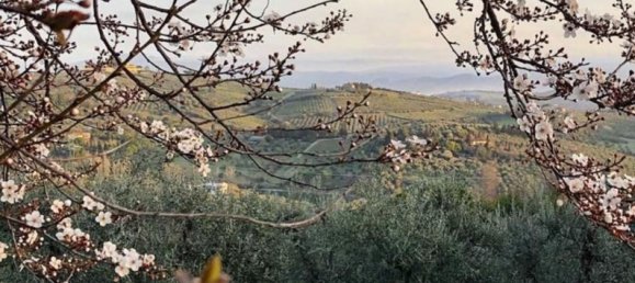 6 rooms House in Greve in Chianti, Italy No. 192515 19