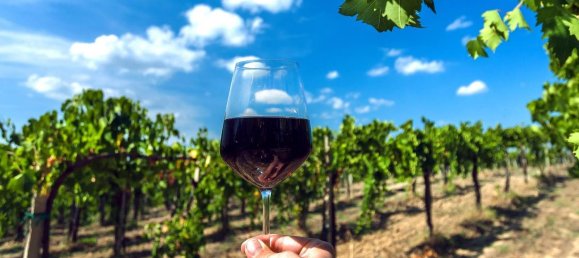 6 rooms House in Greve in Chianti, Italy No. 192515 8