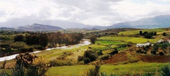 400m² Land in Coin, Spain No. 147391 2