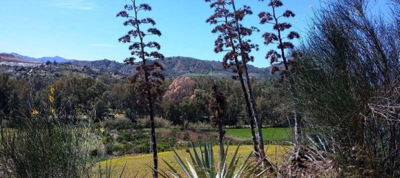 400m² Land in Coin, Spain No. 147391 35