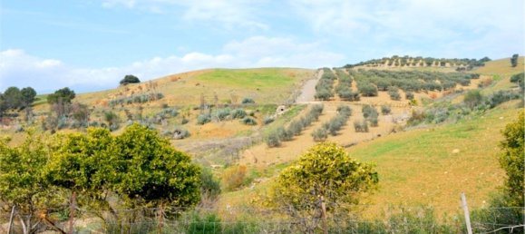 400m² Land in Coin, Spain No. 147391 6