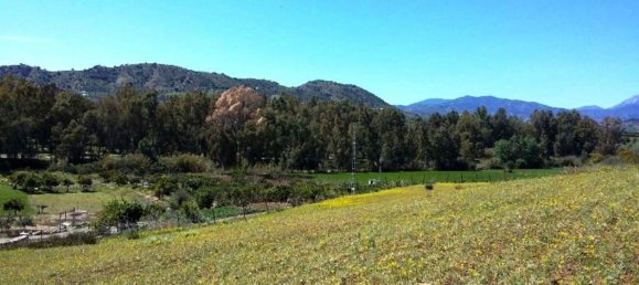 400m² Land in Coin, Spain No. 147391 8