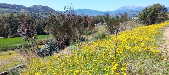 400m² Land in Coin, Spain No. 147391 10