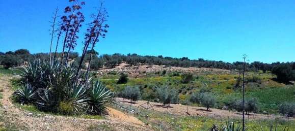 400m² Land in Coin, Spain No. 147391 17