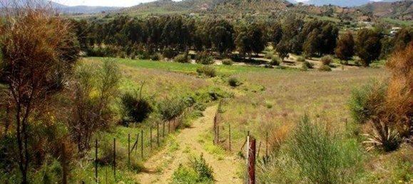 400m² Land in Coin, Spain No. 147391 14