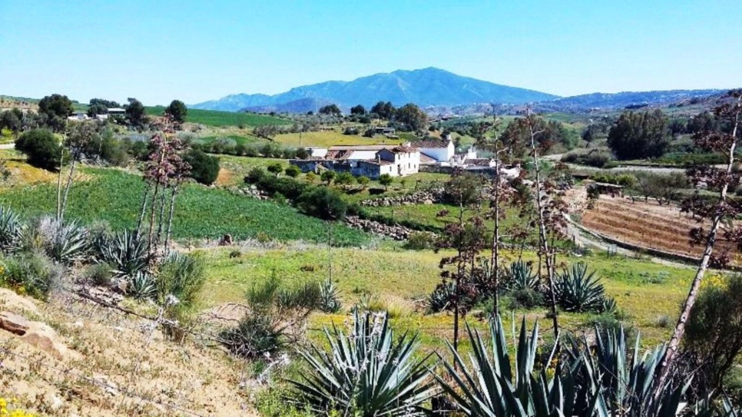 400m² Land in Coin, Spain No. 147391