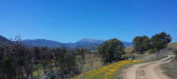 400m² Land in Coin, Spain No. 147391 12