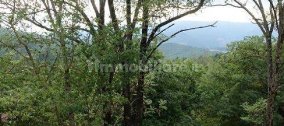 Villa de 5 divisões em Chiusi della Verna, Italy N.º 108854 17