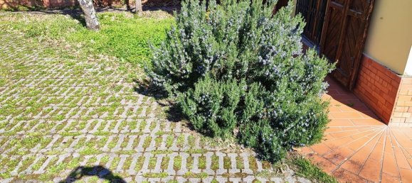 Apartamento de 5 habitaciónes en Castelfranco Piandiscò, Italy No. 165849 20