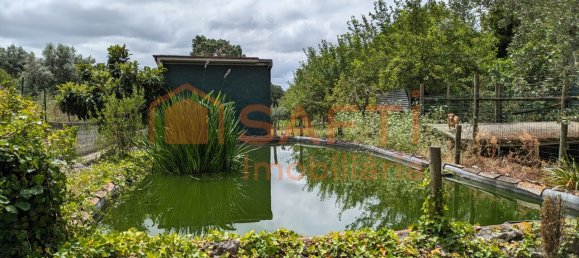 4 bedrooms House in Santarem, Portugal No. 146379 29