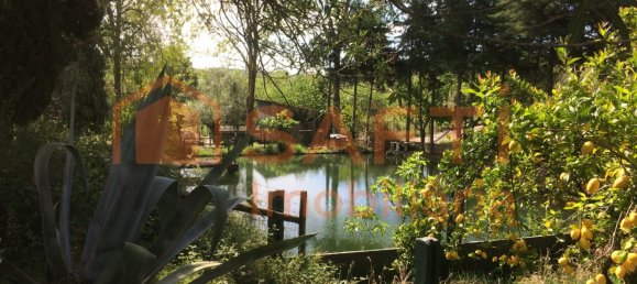 4 bedrooms House in Santarem, Portugal No. 146379 10