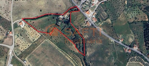 4 bedrooms House in Santarem, Portugal No. 146379 49