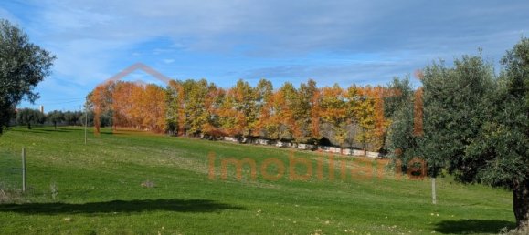 4 bedrooms House in Santarem, Portugal No. 146379 45