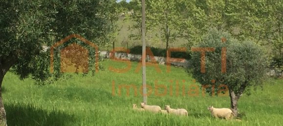 4 bedrooms House in Santarem, Portugal No. 146379 9