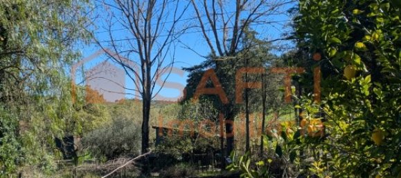 4 bedrooms House in Santarem, Portugal No. 146379 50