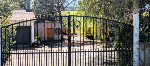 4 bedrooms House in Santarem, Portugal No. 146379 6