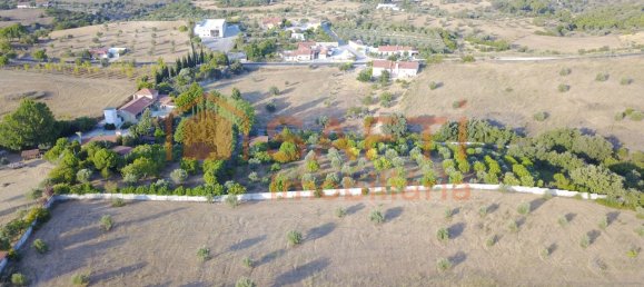 4 bedrooms House in Santarem, Portugal No. 146379 40