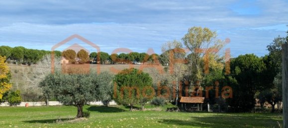 4 bedrooms House in Santarem, Portugal No. 146379 44