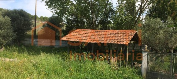 4 bedrooms House in Santarem, Portugal No. 146379 33