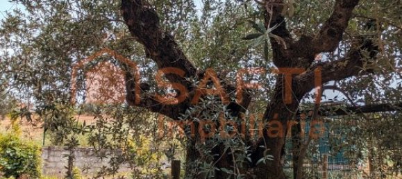 4 bedrooms House in Santarem, Portugal No. 146379 48