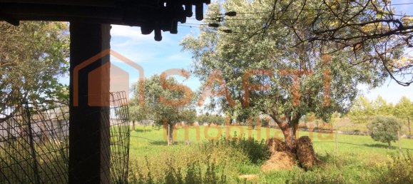 4 bedrooms House in Santarem, Portugal No. 146379 35