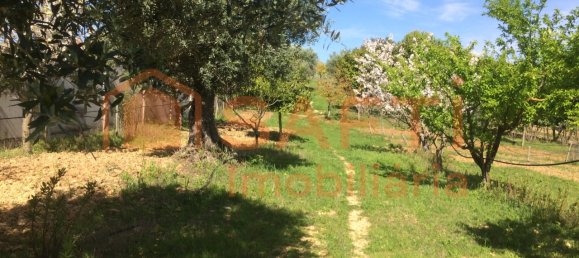 4 bedrooms House in Santarem, Portugal No. 146379 37