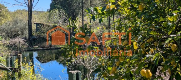 4 bedrooms House in Santarem, Portugal No. 146379 7